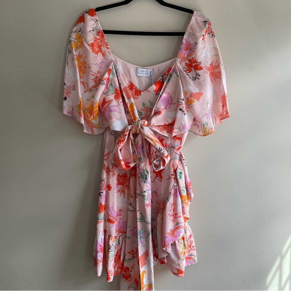 NWT Tanya Taylor Anastasia Dress - Picture 3 of 11